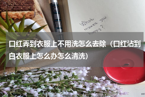 口红弄到衣服上不用洗怎么去除（口红沾到白衣服上怎么办怎么清洗）