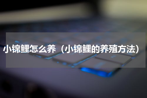小锦鲤怎么养（小锦鲤的养殖方法）