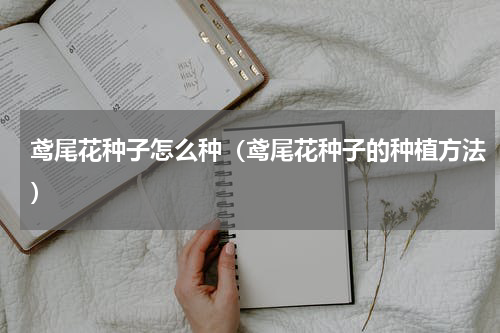 鸢尾花种子怎么种（鸢尾花种子的种植方法）