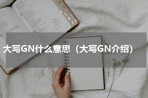 大写GN什么意思（大写GN介绍）