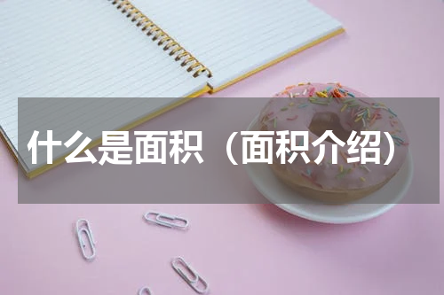 什么是面积（面积介绍）