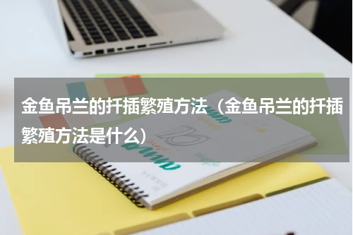 金鱼吊兰的扦插繁殖方法（金鱼吊兰的扦插繁殖方法是什么）