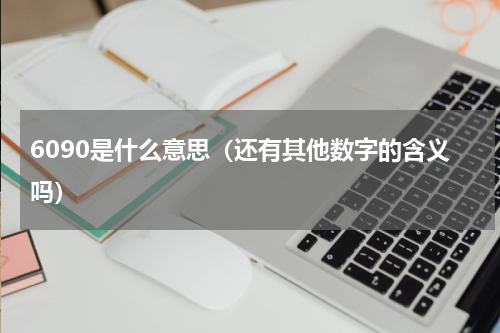 6090是什么意思（还有其他数字的含义吗）