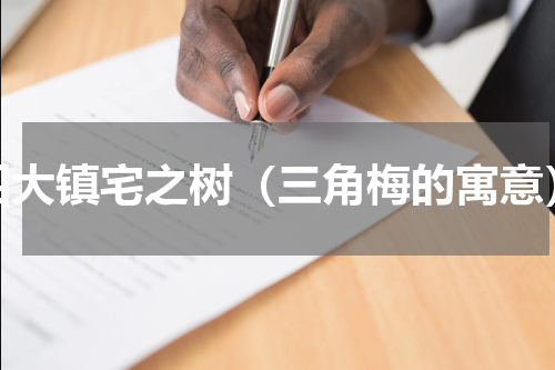 四大镇宅之树（三角梅的寓意）