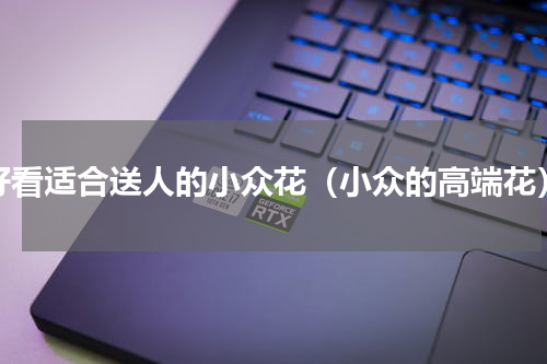 好看适合送人的小众花（小众的高端花）