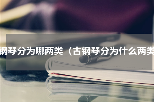 古钢琴分为哪两类（古钢琴分为什么两类）