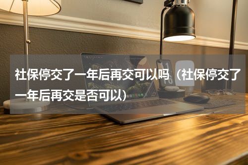 社保停交了一年后再交可以吗（社保停交了一年后再交是否可以）