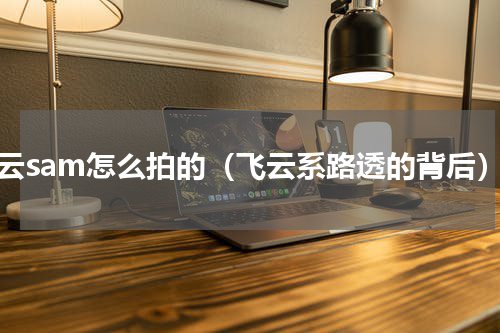 飞云sam怎么拍的（飞云系路透的背后）