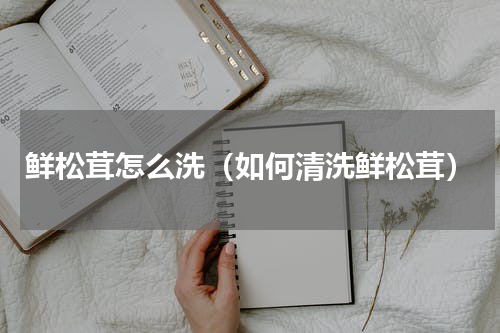 鲜松茸怎么洗（如何清洗鲜松茸）