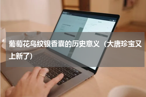 葡萄花鸟纹银香囊的历史意义（大唐珍宝又上新了）