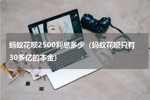 蚂蚁花呗2500利息多少（蚂蚁花呗只有30多亿的本金）