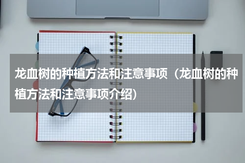 龙血树的种植方法和注意事项（龙血树的种植方法和注意事项介绍）