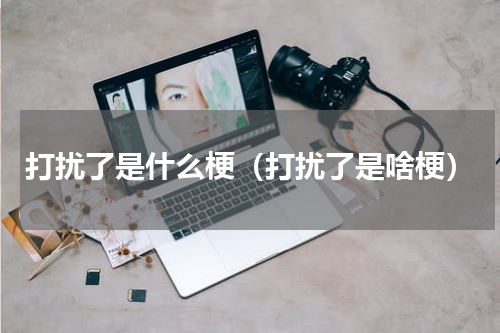 打扰了是什么梗（打扰了是啥梗）