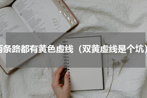 两条路都有黄色虚线（双黄虚线是个坑）