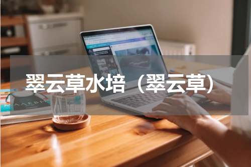 翠云草水培（翠云草）