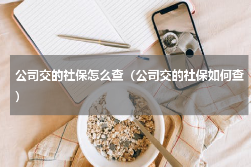 公司交的社保怎么查（公司交的社保如何查）