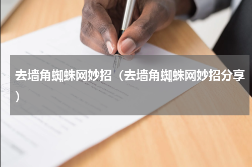 去墙角蜘蛛网妙招（去墙角蜘蛛网妙招分享）