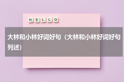 大林和小林好词好句（大林和小林好词好句列述）