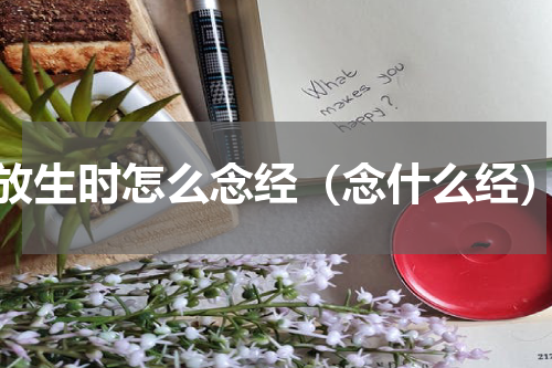 放生时怎么念经（念什么经）