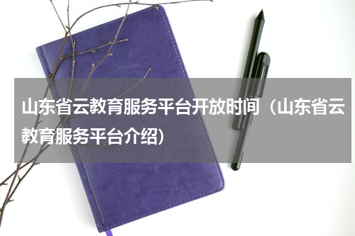 山东省云教育服务平台开放时间（山东省云教育服务平台介绍）