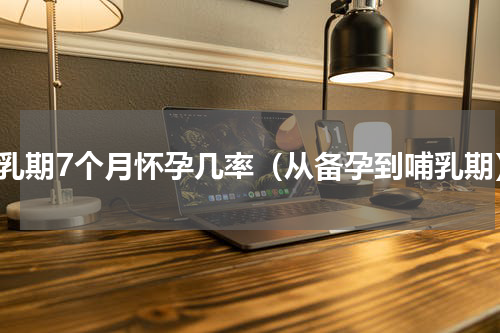 哺乳期7个月怀孕几率（从备孕到哺乳期）
