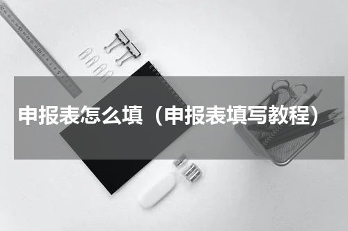 申报表怎么填（申报表填写教程）