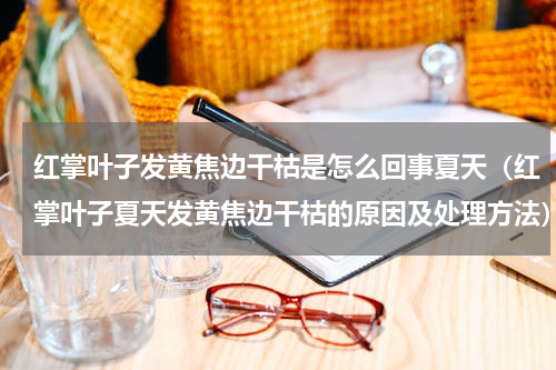 红掌叶子发黄焦边干枯是怎么回事夏天（红掌叶子夏天发黄焦边干枯的原因及处理方法）