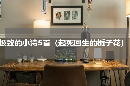 极致的小诗5首（起死回生的栀子花）