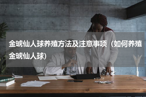 金琥仙人球养殖方法及注意事项（如何养殖金琥仙人球）