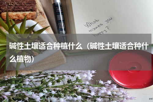 碱性土壤适合种植什么（碱性土壤适合种什么植物）