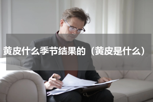 黄皮什么季节结果的（黄皮是什么）