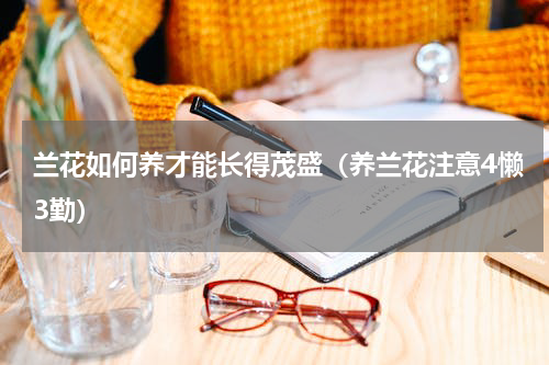 兰花如何养才能长得茂盛（养兰花注意4懒3勤）