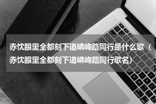 赤忱眼里全都刻下道嶙峋路同行是什么歌（赤忱眼里全都刻下道嶙峋路同行歌名）