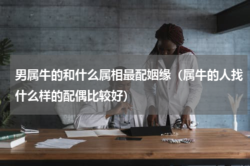 男属牛的和什么属相最配姻缘（属牛的人找什么样的配偶比较好）