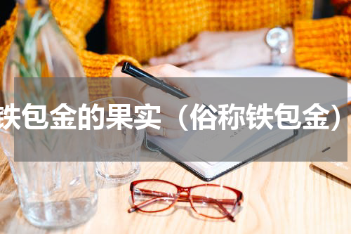 铁包金的果实（俗称铁包金）