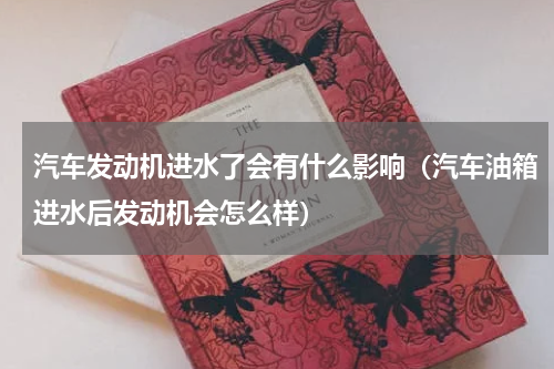 汽车发动机进水了会有什么影响（汽车油箱进水后发动机会怎么样）