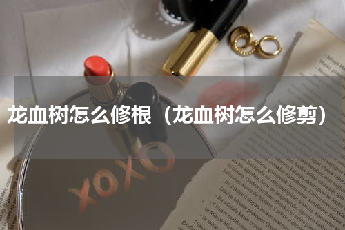龙血树怎么修根（龙血树怎么修剪）