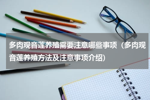 多肉观音莲养殖需要注意哪些事项（多肉观音莲养殖方法及注意事项介绍）