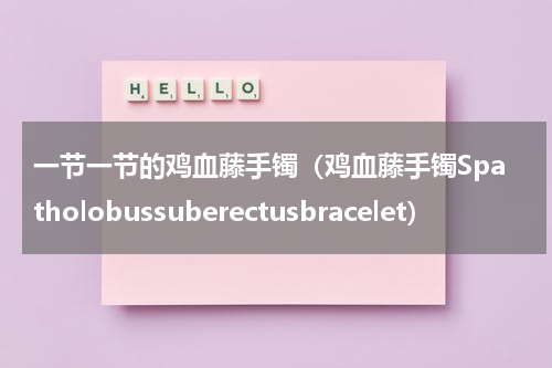一节一节的鸡血藤手镯（鸡血藤手镯Spatholobussuberectusbracelet）