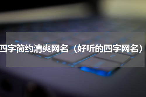 四字简约清爽网名（好听的四字网名）