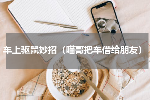 车上驱鼠妙招（喵哥把车借给朋友）