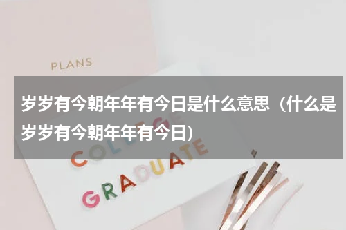 岁岁有今朝年年有今日是什么意思（什么是岁岁有今朝年年有今日）