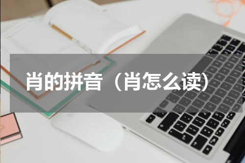 肖的拼音（肖怎么读）