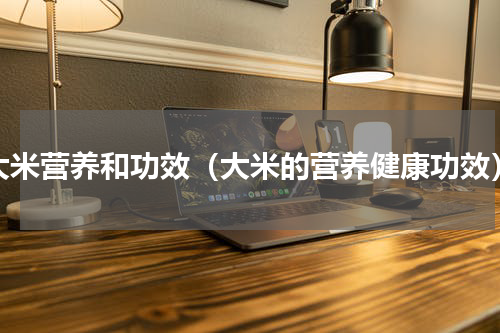 大米营养和功效（大米的营养健康功效）