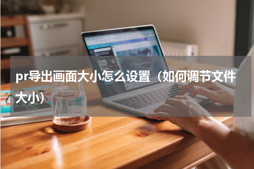pr导出画面大小怎么设置（如何调节文件大小）