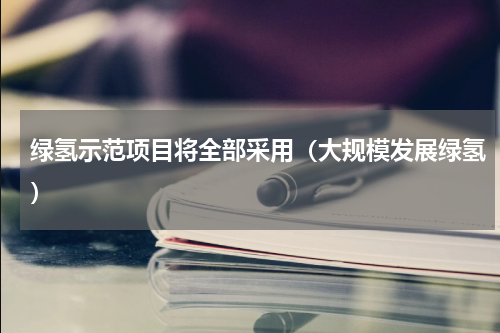 绿氢示范项目将全部采用（大规模发展绿氢）