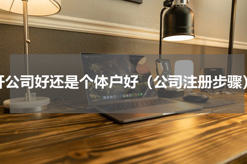 开公司好还是个体户好（公司注册步骤）