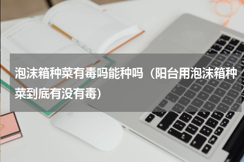 泡沫箱种菜有毒吗能种吗（阳台用泡沫箱种菜到底有没有毒）