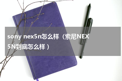 sony nex5n怎么样（索尼NEX5N到底怎么样 ）
