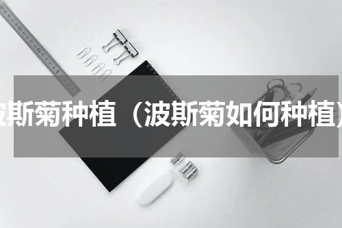 波斯菊种植（波斯菊如何种植）